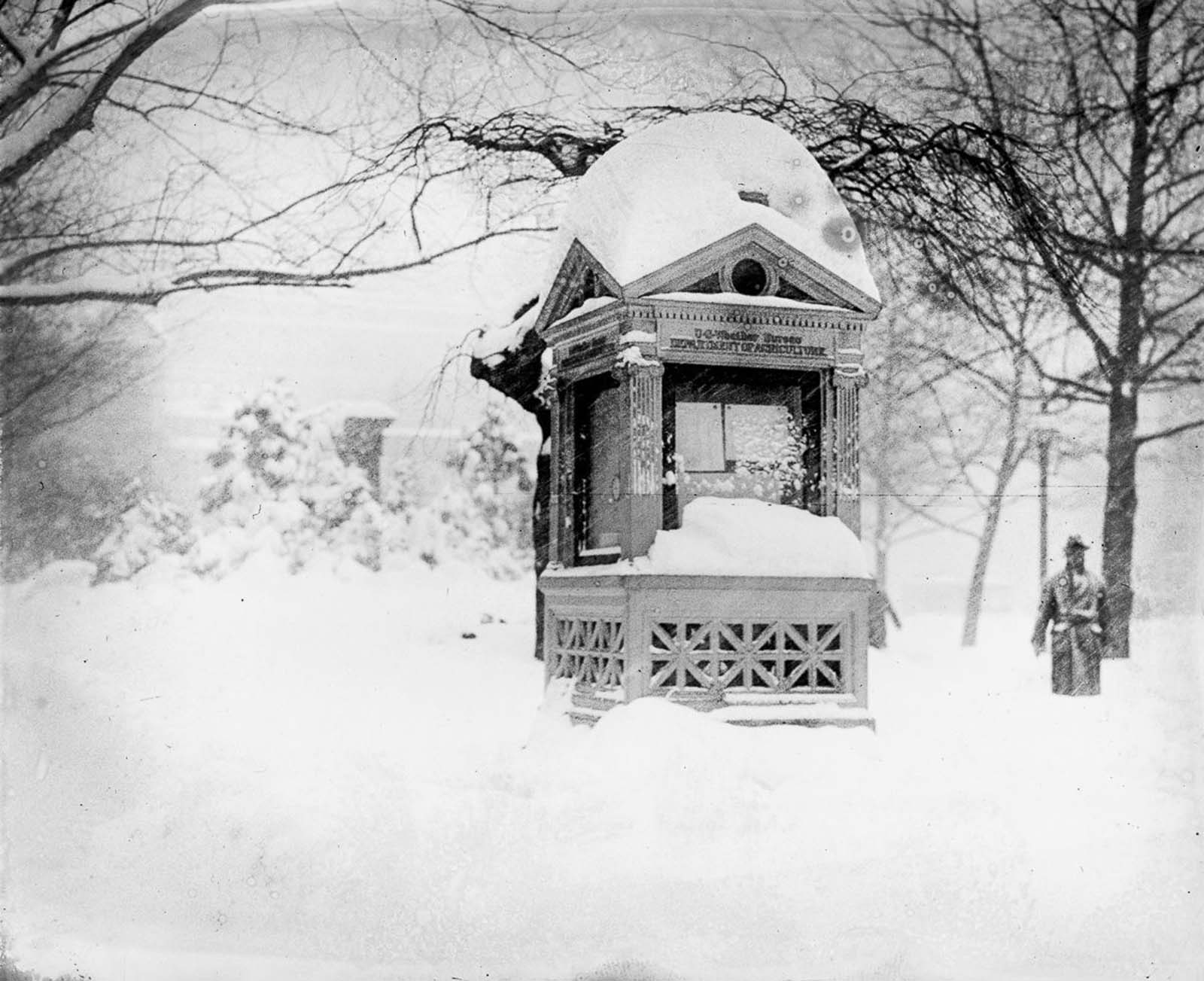 knickerbocker storm photos washington DC