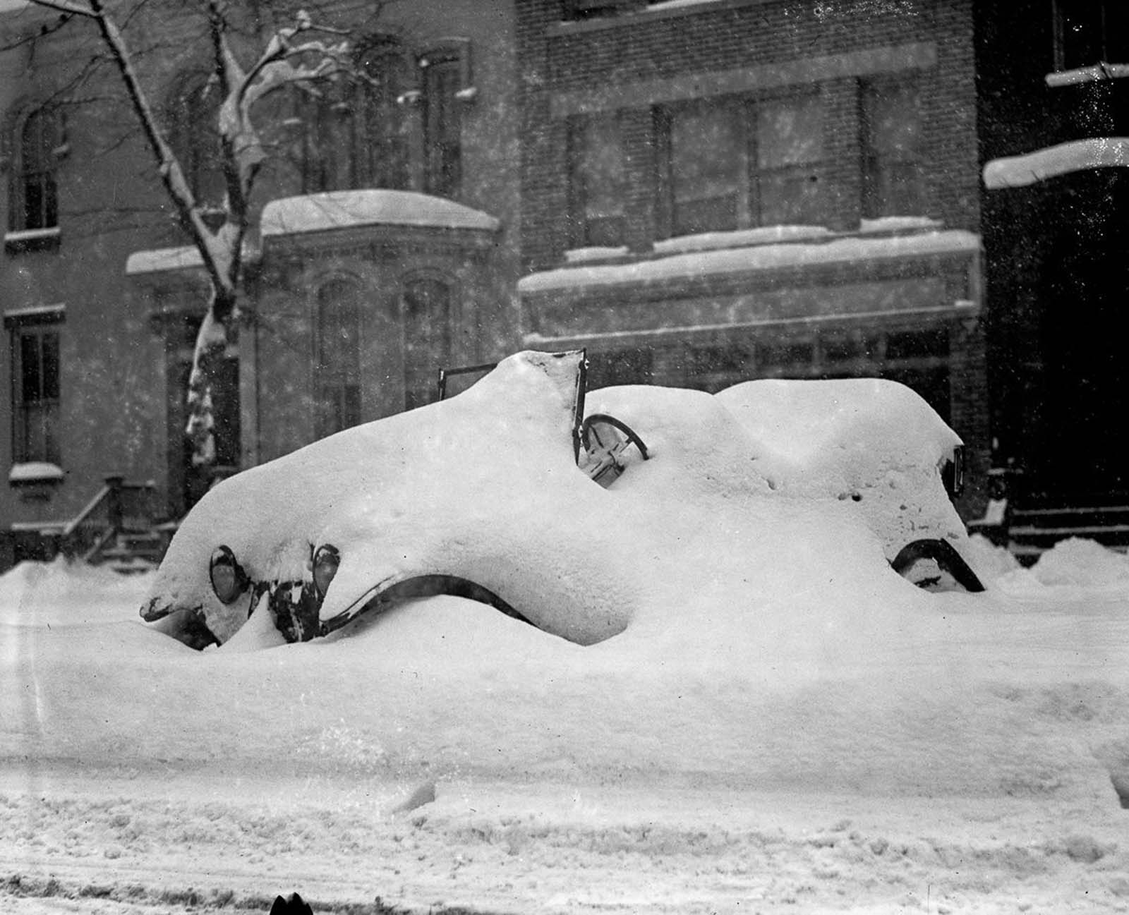 knickerbocker storm photos washington DC