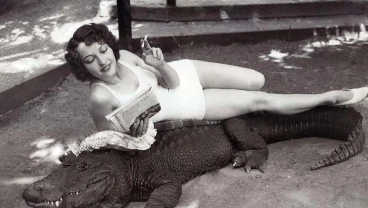 california alligator park photographs