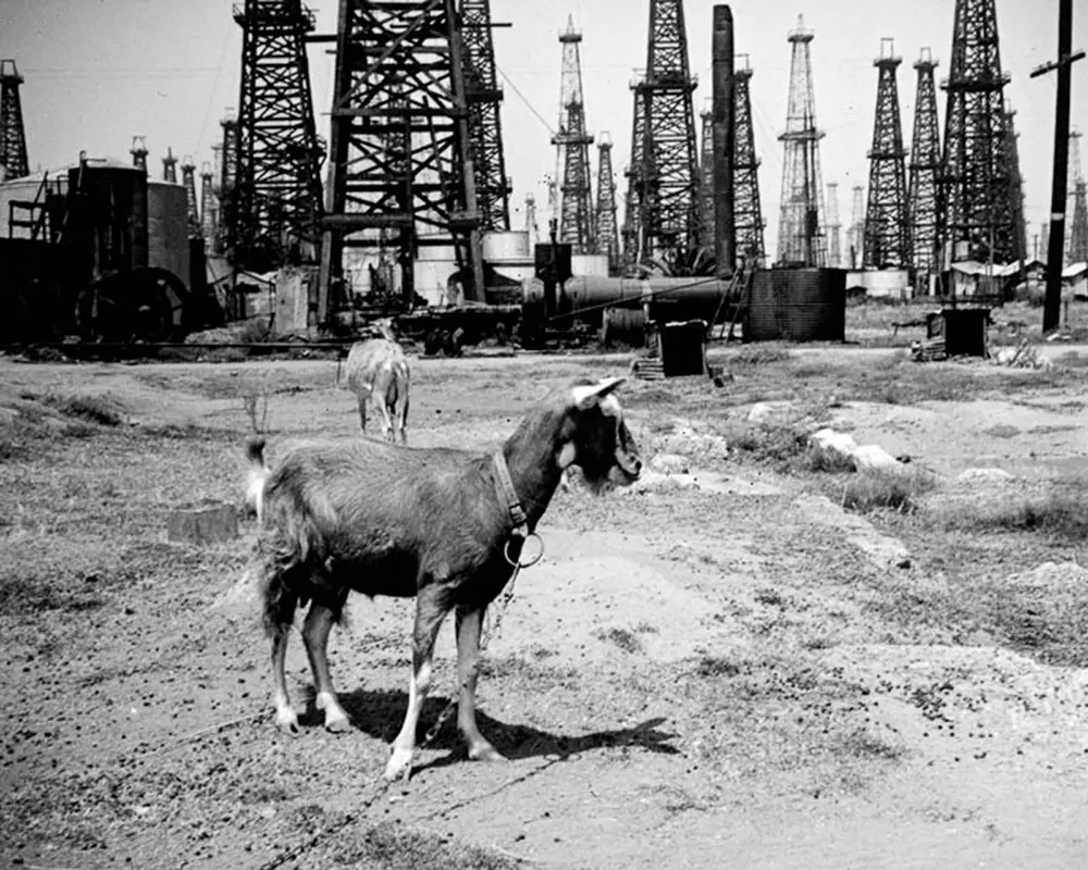 oil derricks california old photos