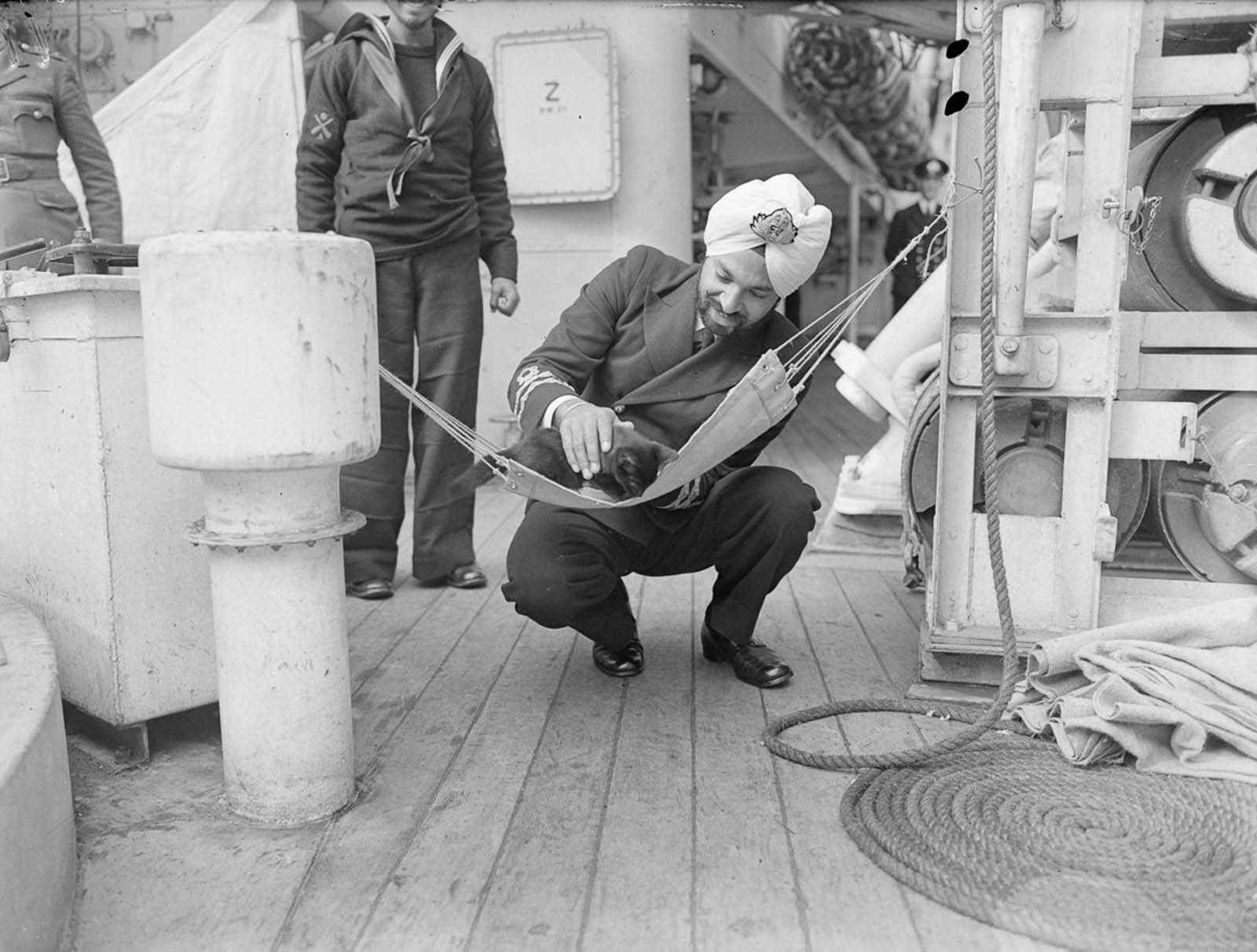 A Persian kitten takes a break from hunting rats in a specially made hammock aboard the sloop HMS Godavari.