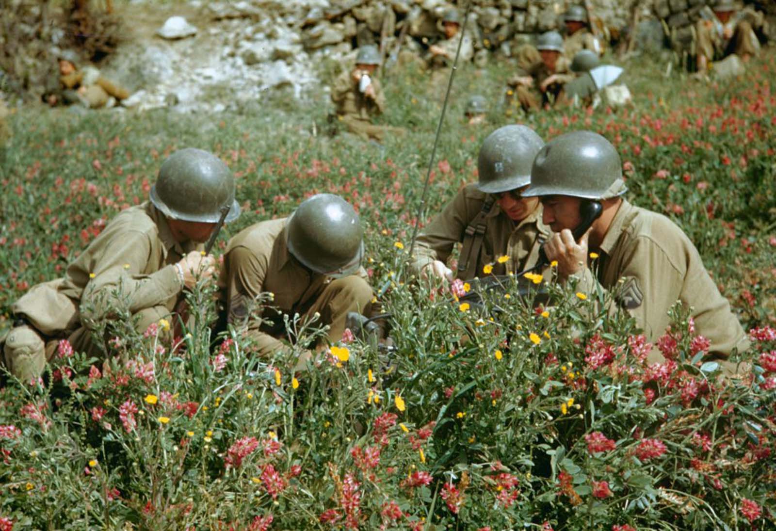 Liri Valley, on the road to Rome, 1944.