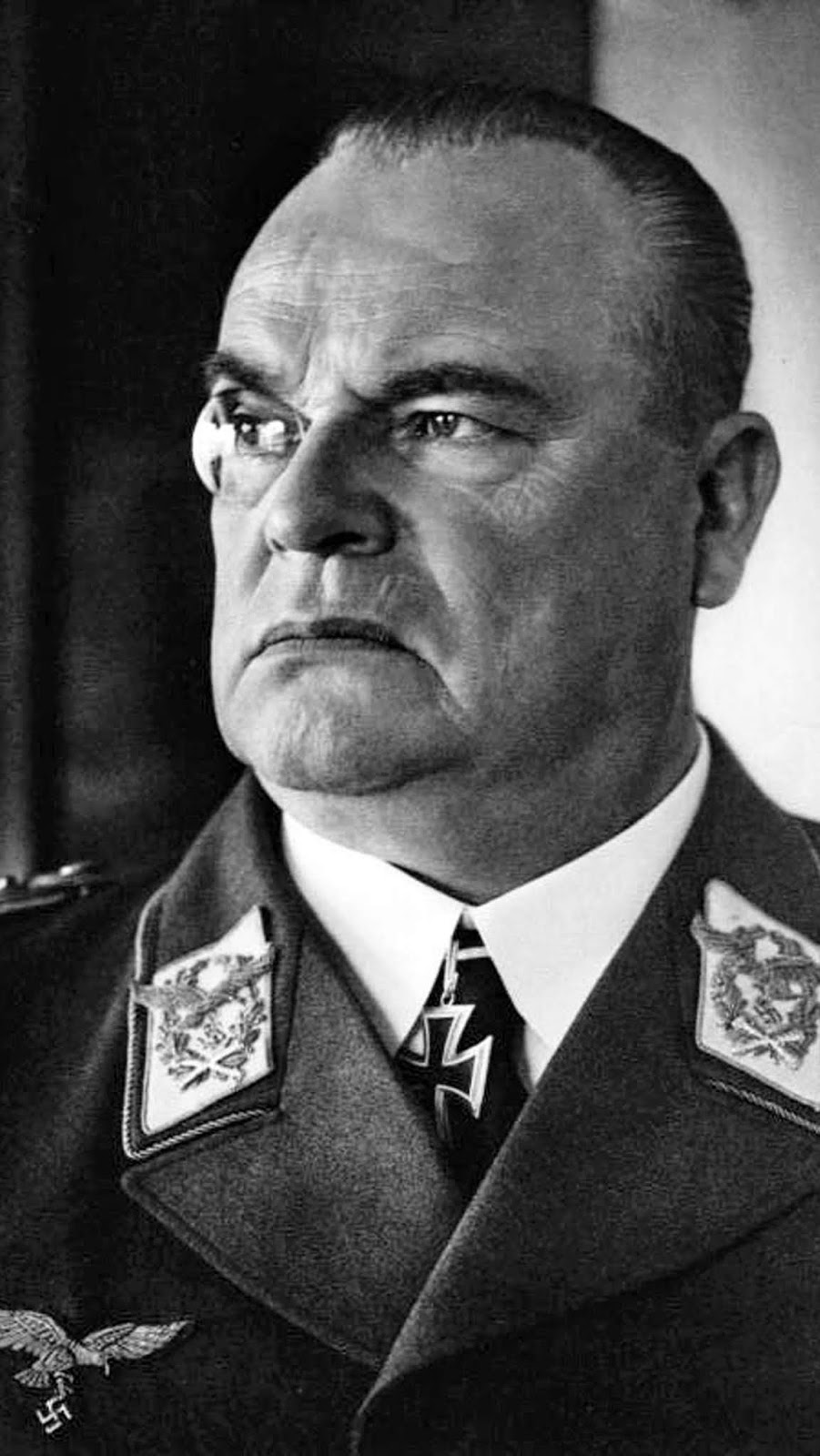 Hugo Sperrle commanded Luftlotte 3 in France throughout the war. The failures during the Battle of Britain weren't his fault: he wanted to continue attacking the airfields which almost everyone now agrees was the winning strategy. Goering once mentioned that Sperrle was his most 