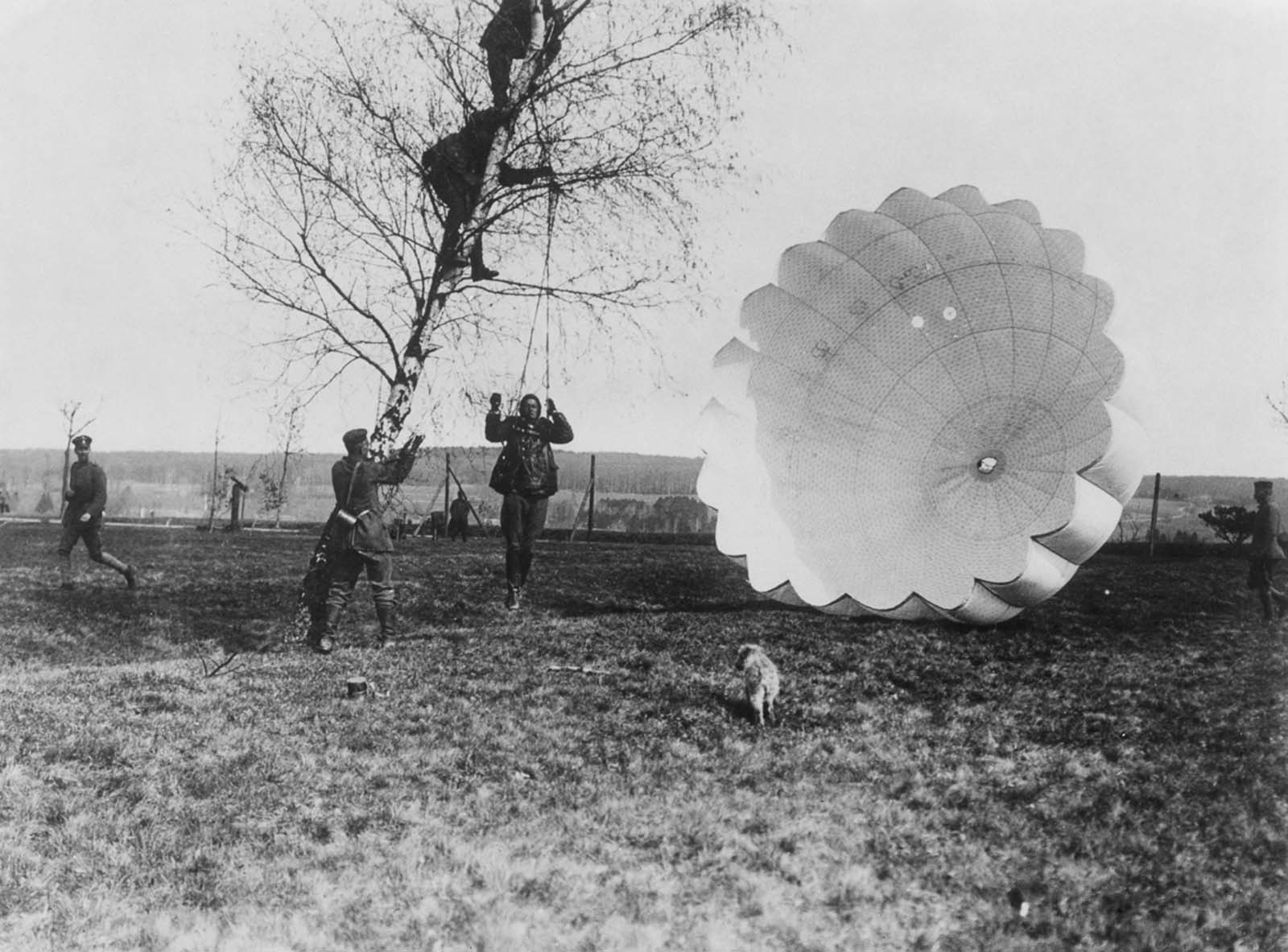 An observer is disentangled from a tree after parachuting from his balloon. 1918.