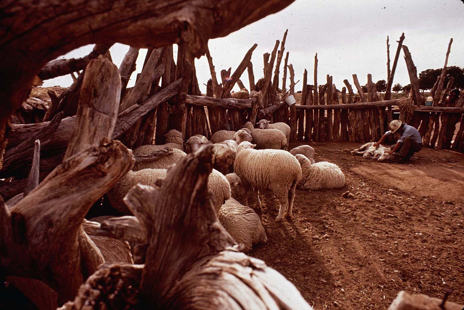 Native american reservations photographs terry eiler
