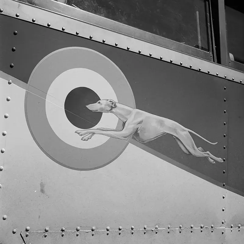 bus story esther bubley photos