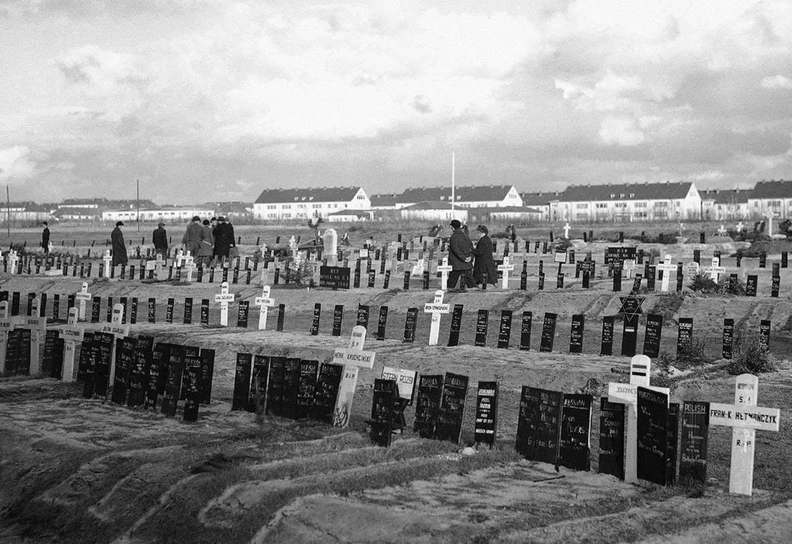 The new cemetery at Belsen, Germany on March 28, 1946, where 13,000 people who died after Belsen Concentration Camp was liberated are buried.