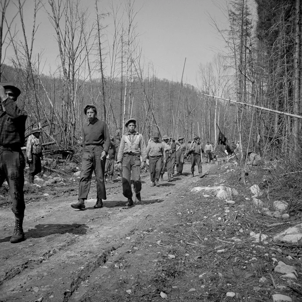 maine logging old photographs