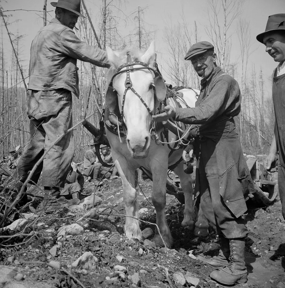 maine logging old photographs