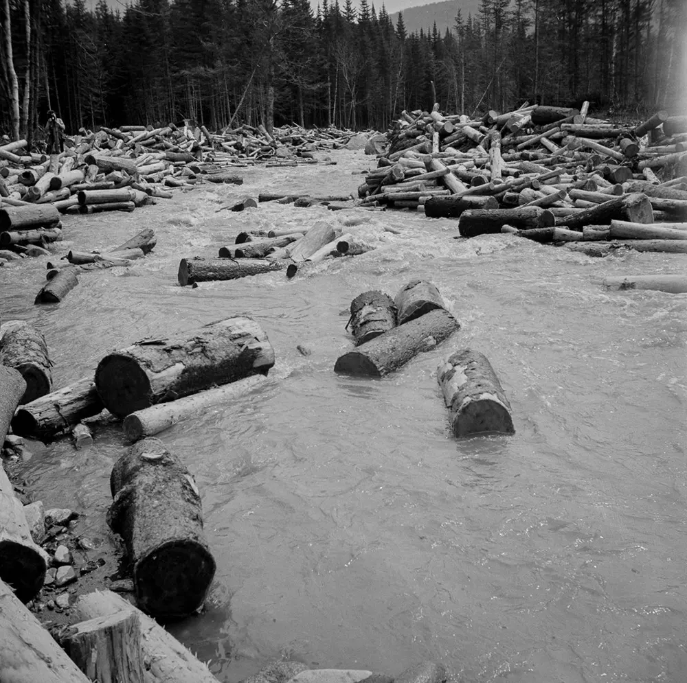 maine logging old photographs