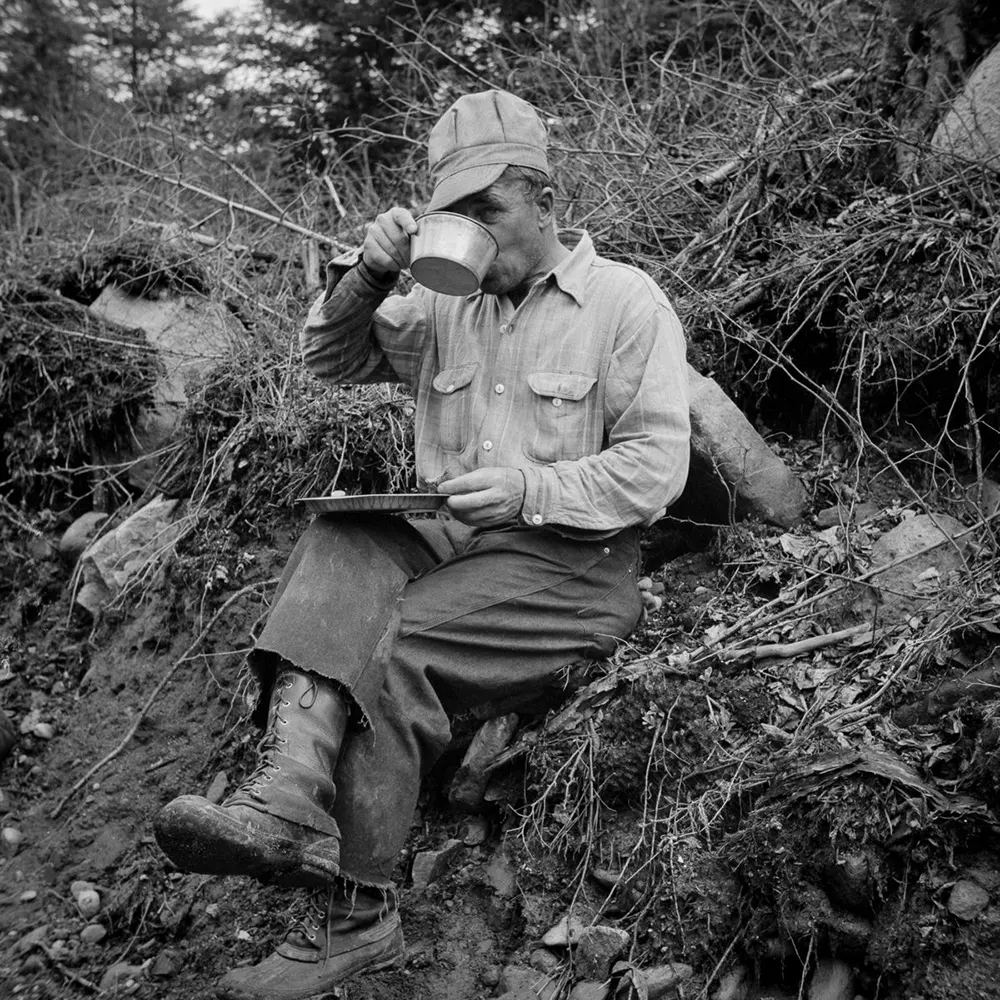 maine logging old photographs