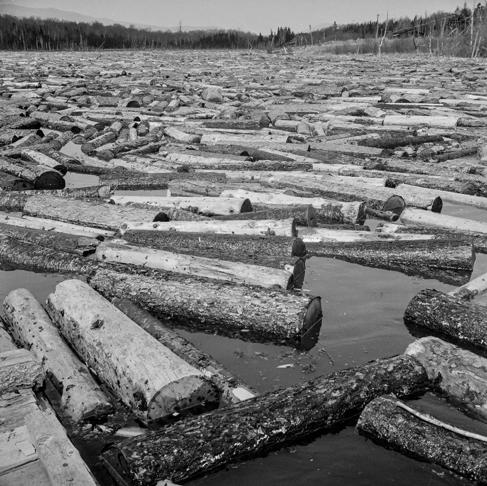 maine logging old photographs