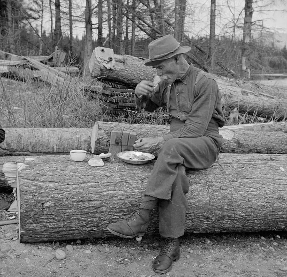 maine logging old photographs