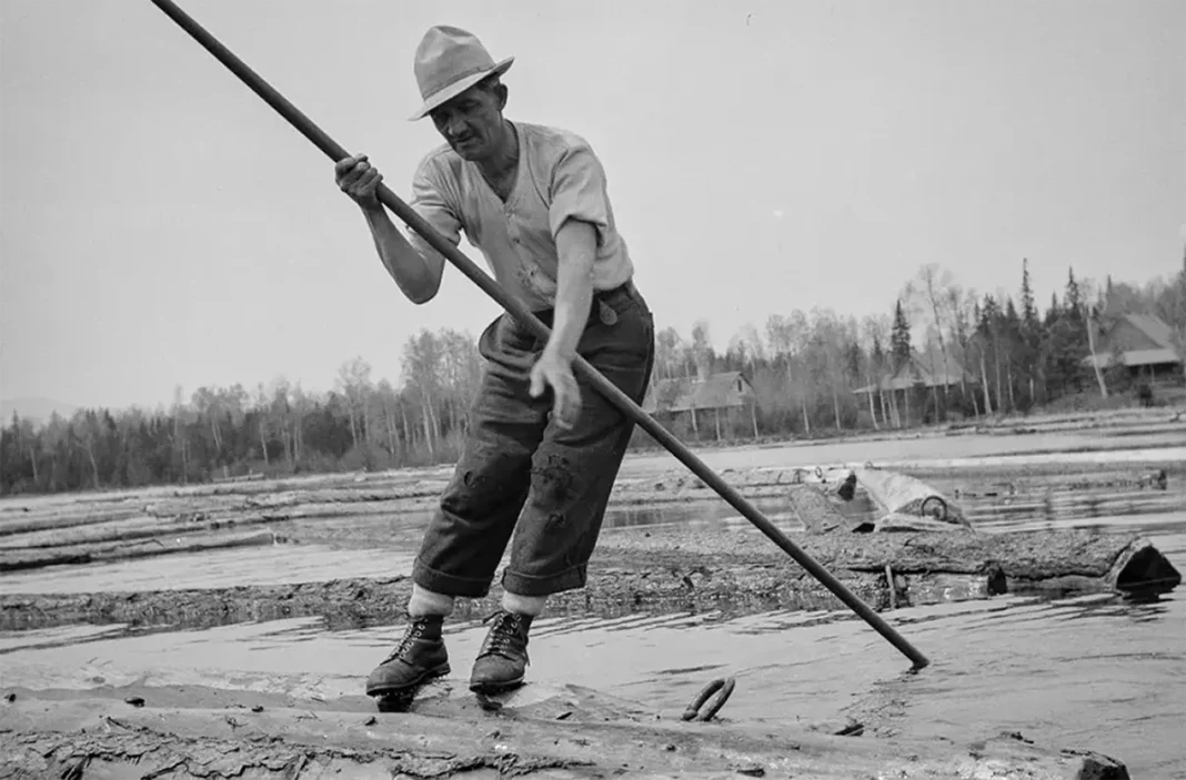 Fascinating pictures show Maine woodsmen on a dangerous logging operation, 1943