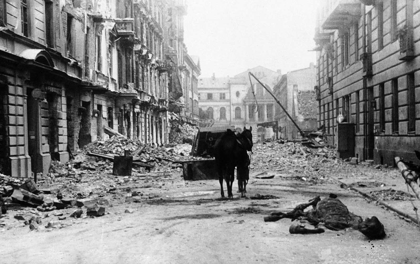 The scene of devastation seen on Ordynacka Street in Warsaw, Poland on March 6, 1940. The carcass of a dead horse lies in the street among enormous piles of debris. While Warsaw was under nearly constant bombardment during the invasion, on one day alone, September 25, 1939, about 1,150 bombing sorties were flown by German aircraft against Warsaw, dropping over 550 tons of high explosive and incendiary bombs on the city. 