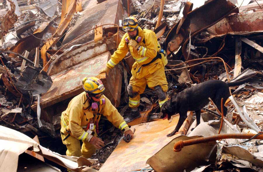 September 11 attacks photographs