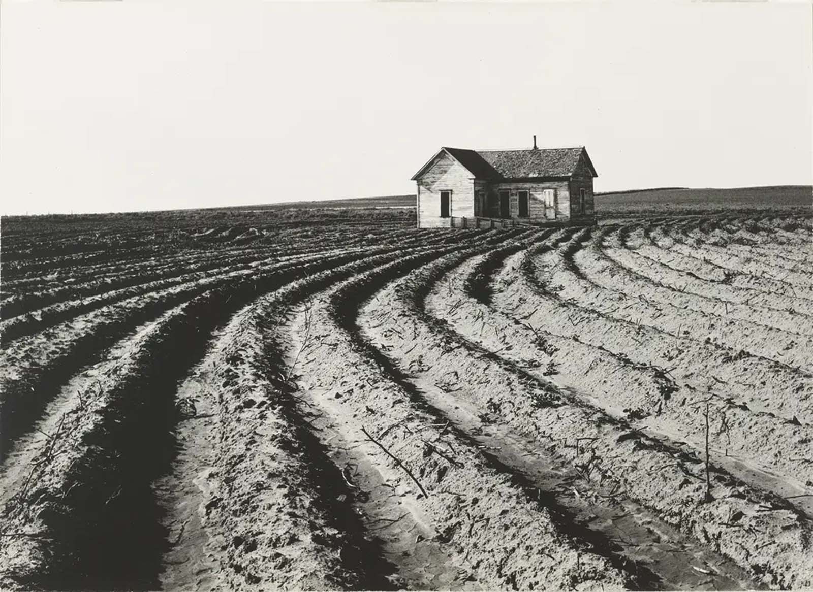 great depression pictures