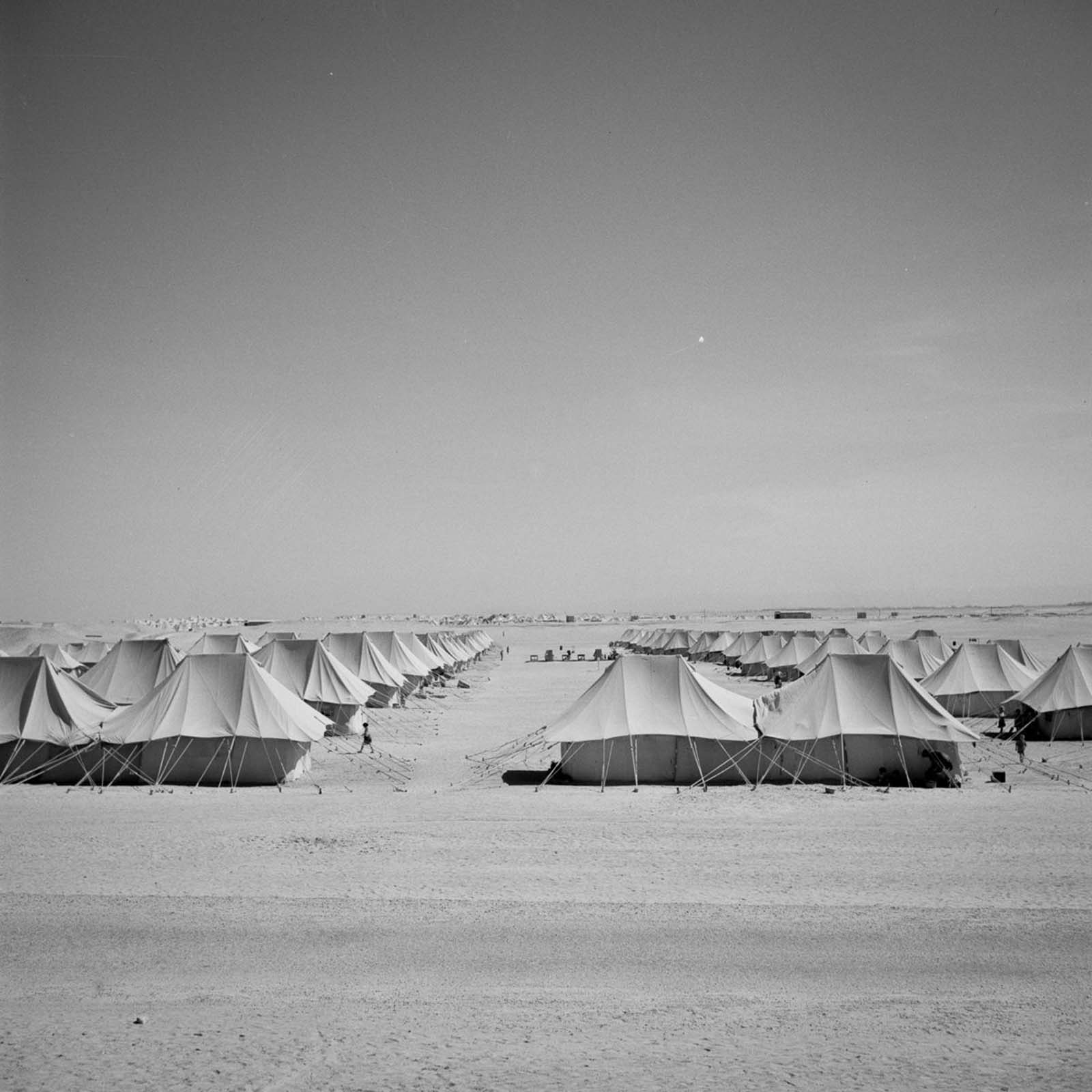 European refugees Egypt
