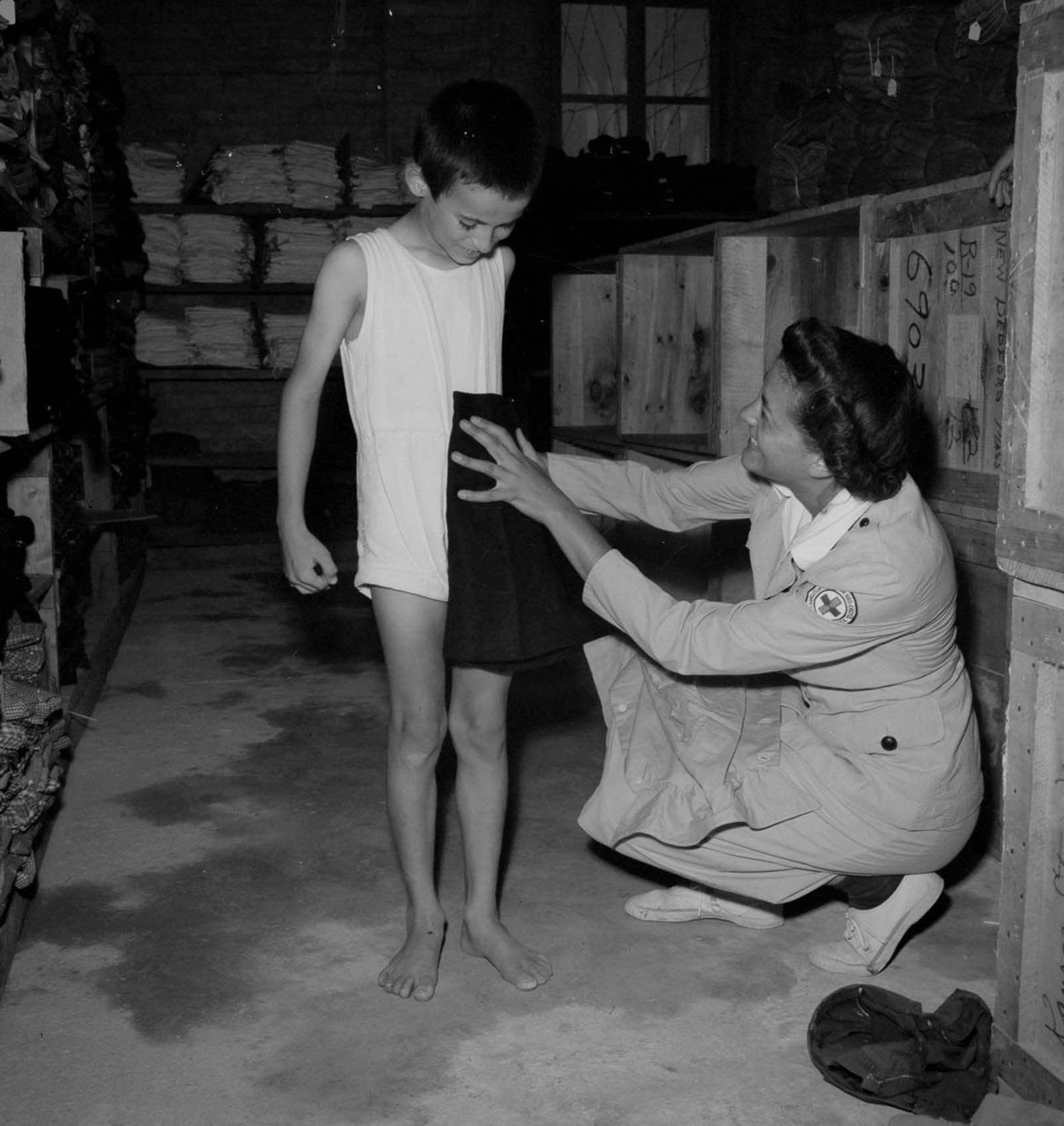 European refugees Egypt