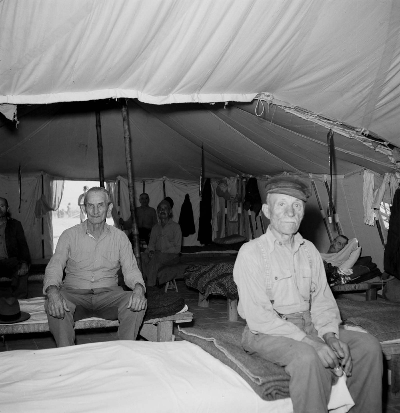 European refugees Egypt