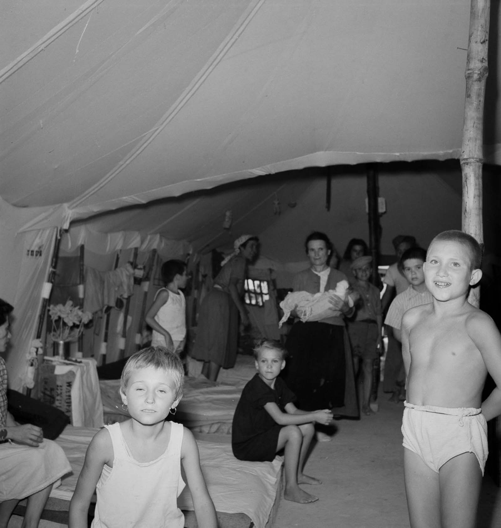 European refugees Egypt