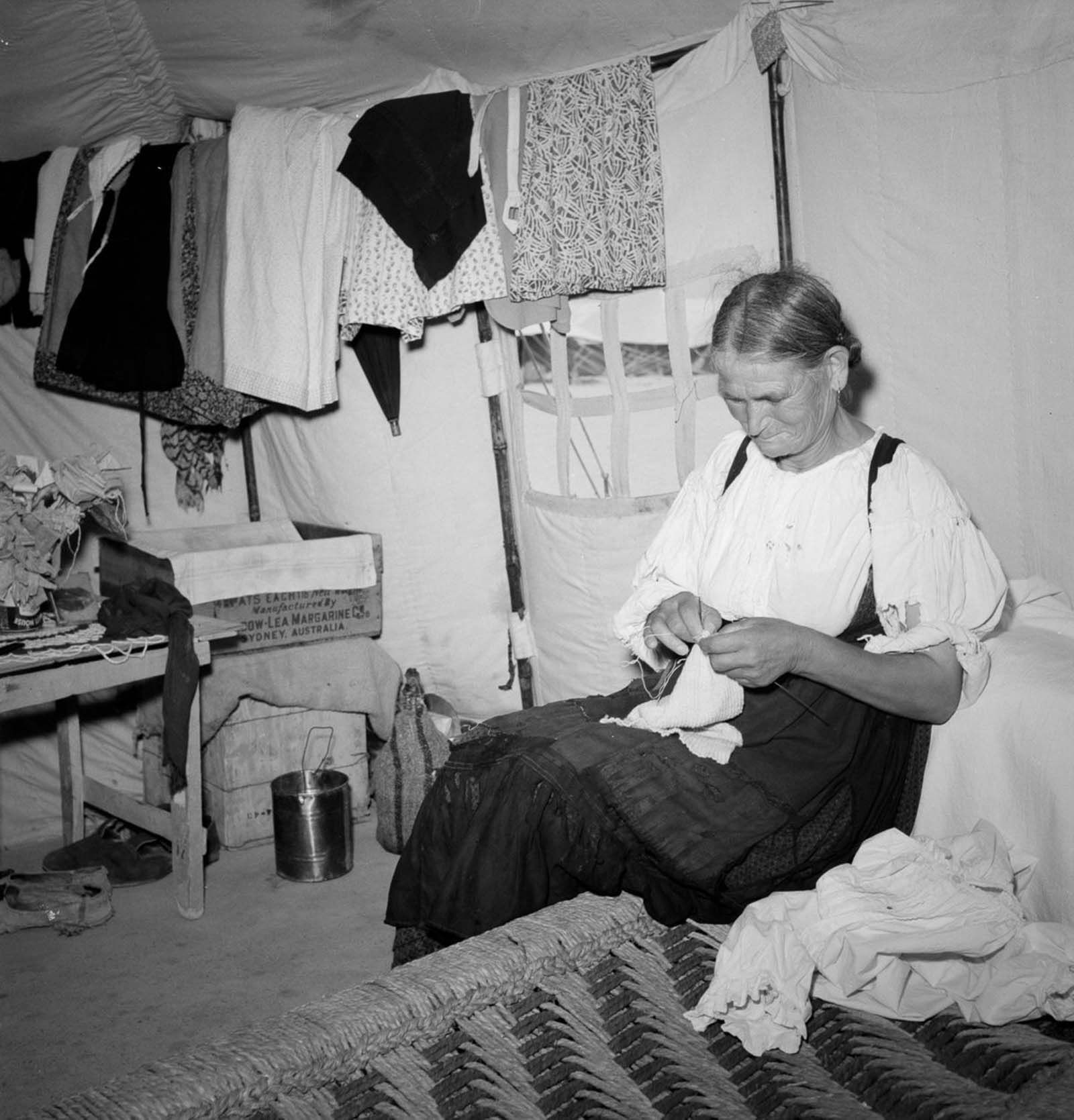 European refugees Egypt