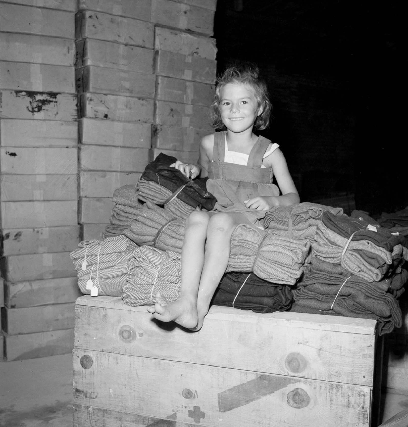 European refugees Egypt