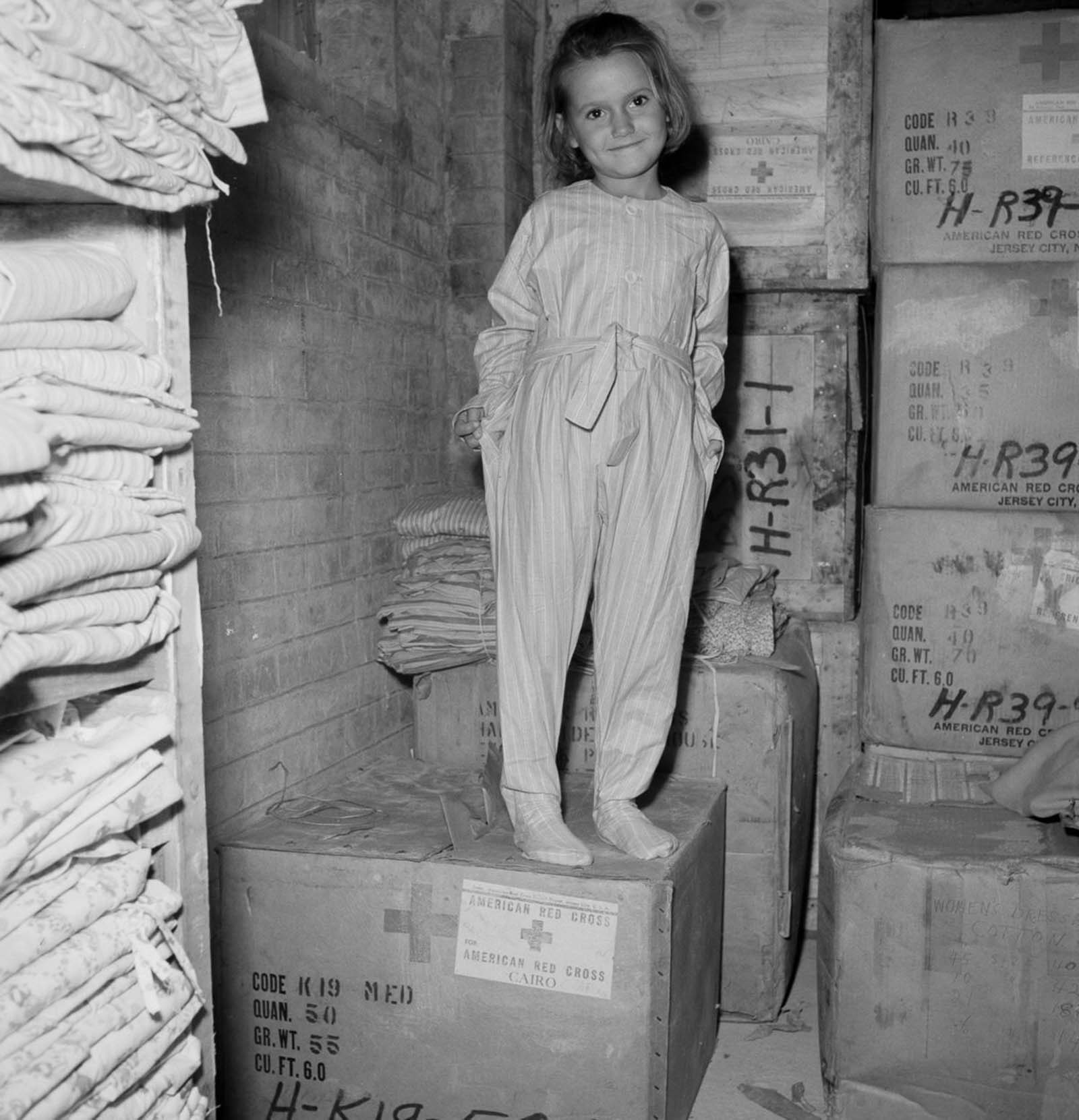 European refugees Egypt