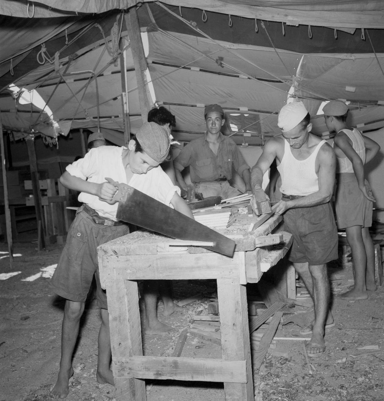European refugees Egypt