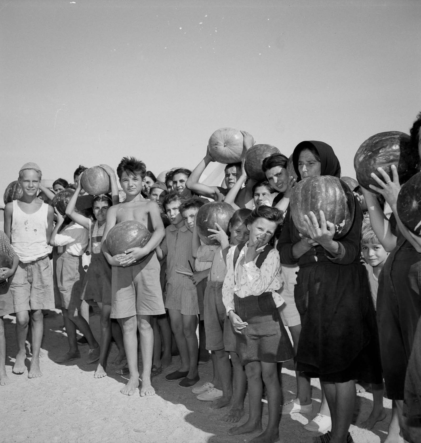 European refugees Egypt