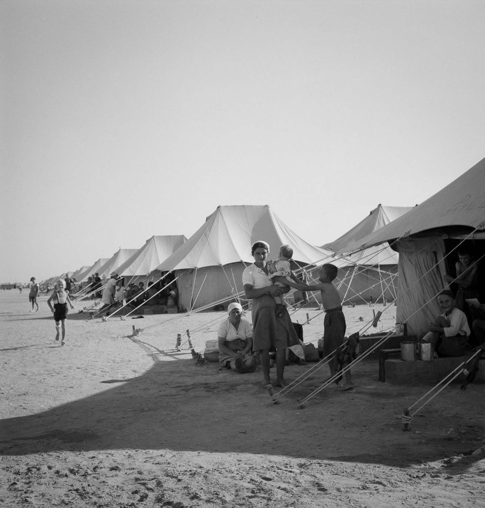 European refugees Egypt