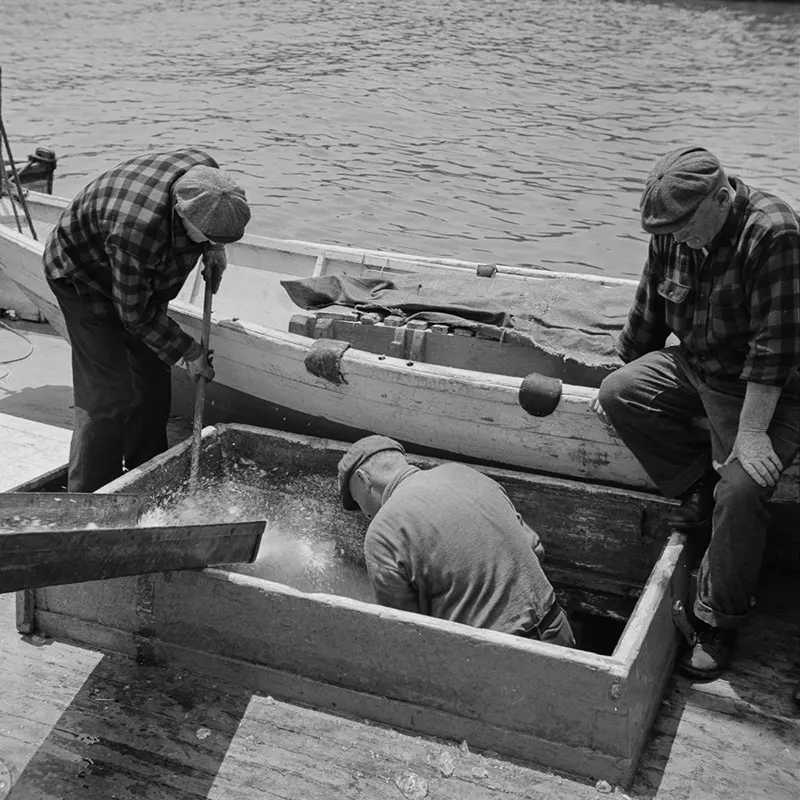 vintage fulton fish market manhattan