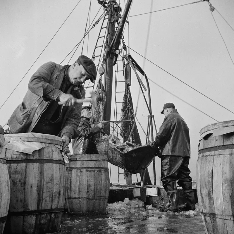 vintage fulton fish market manhattan