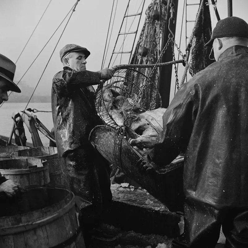 vintage fulton fish market manhattan