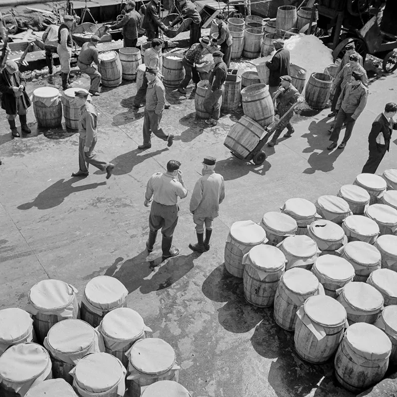 vintage fulton fish market manhattan