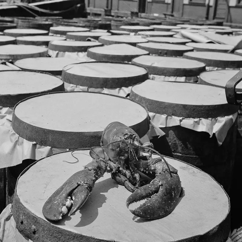 vintage fulton fish market manhattan
