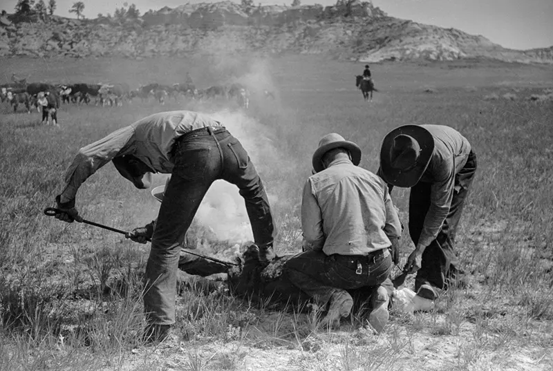 cowboy roundup montana photos