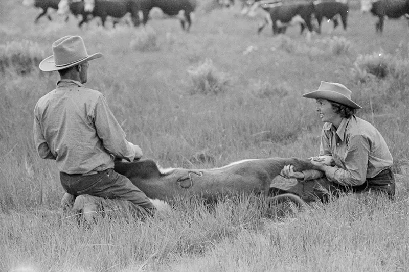 cowboy roundup montana photos