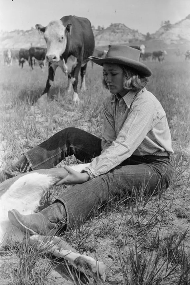 cowboy roundup montana photos