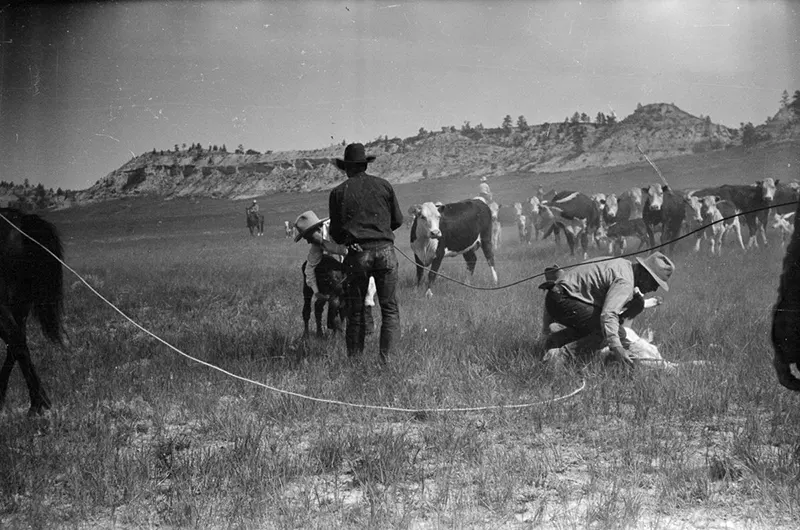 cowboy roundup montana photos