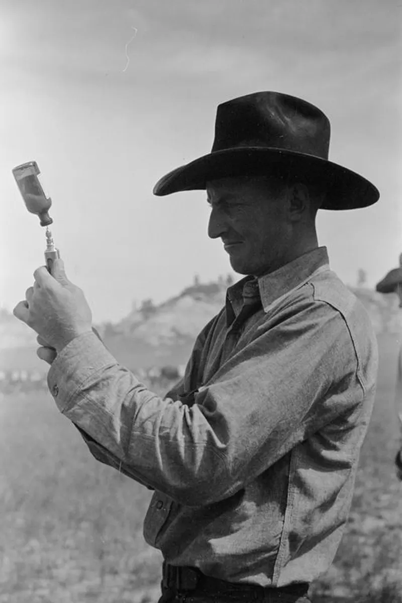 cowboy roundup montana photos