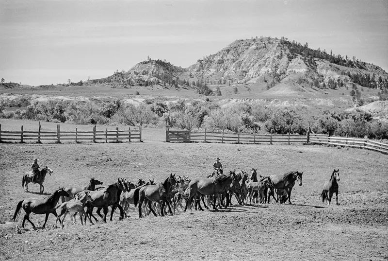 cowboy roundup montana photos