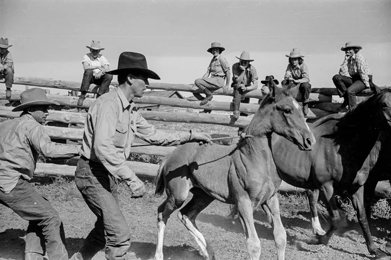 cowboy roundup montana photos