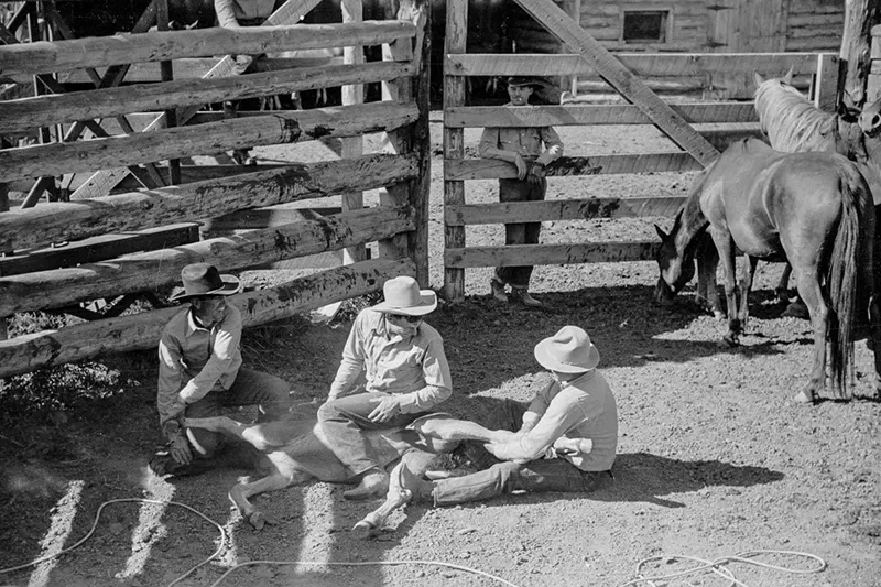 cowboy roundup montana photos