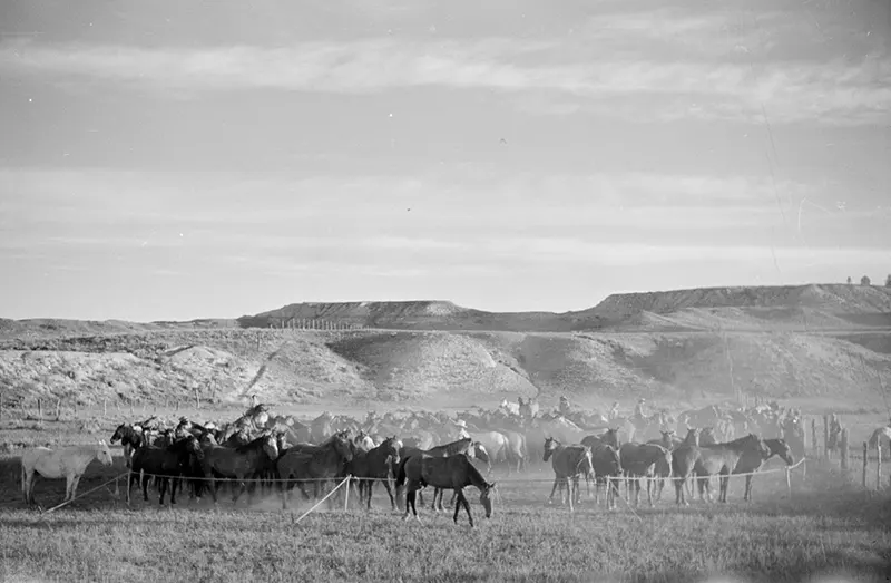 cowboy roundup montana photos