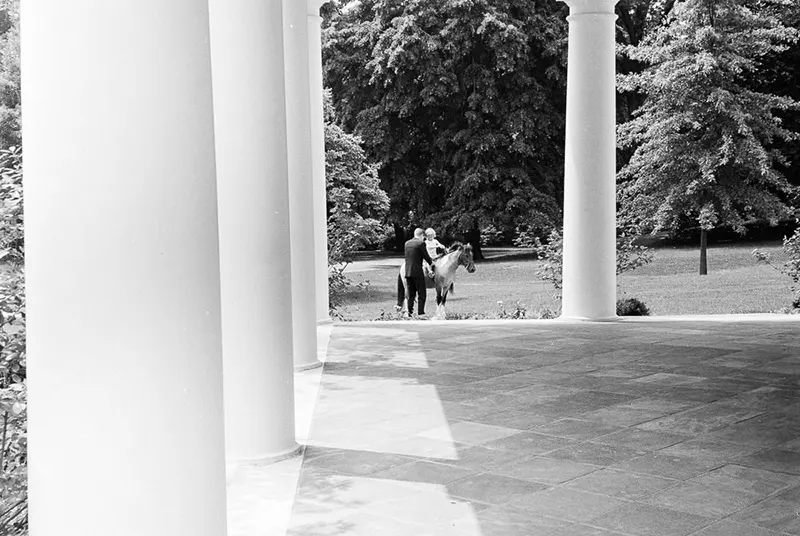 macaroni pony white house