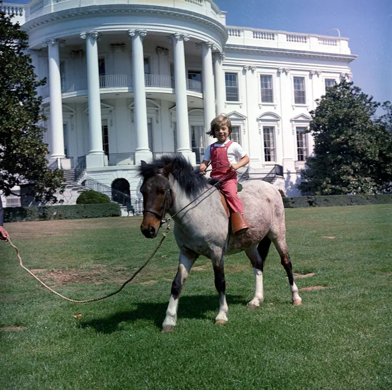 macaroni pony white house