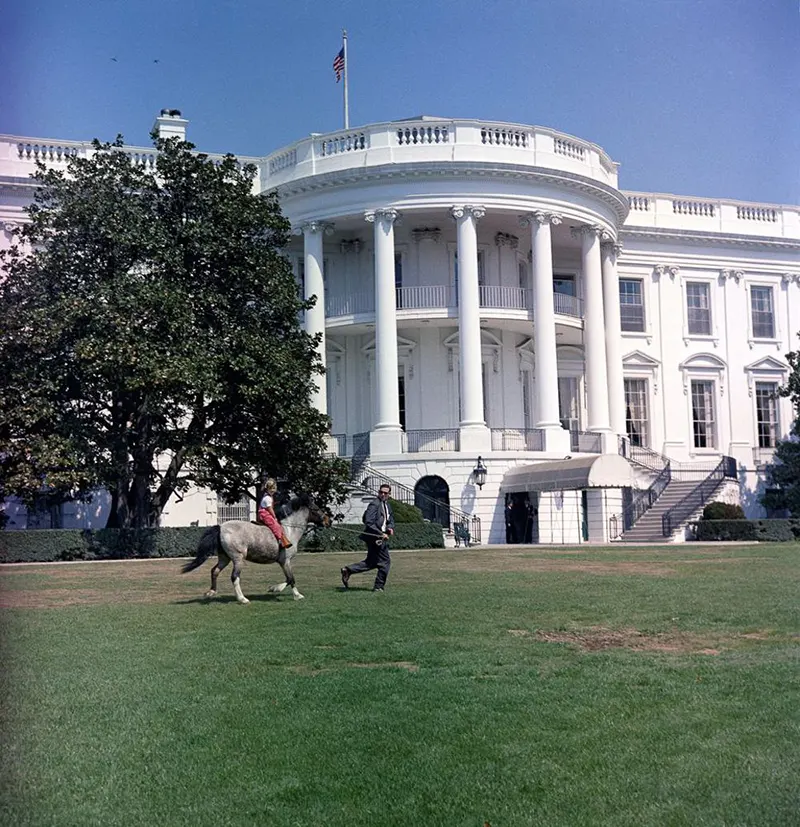 macaroni pony white house