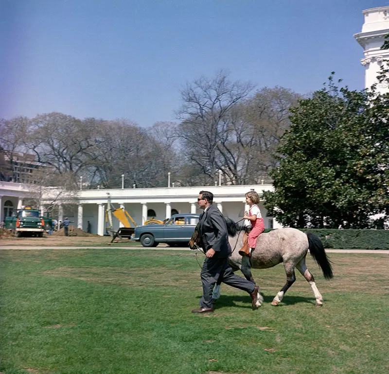macaroni pony white house
