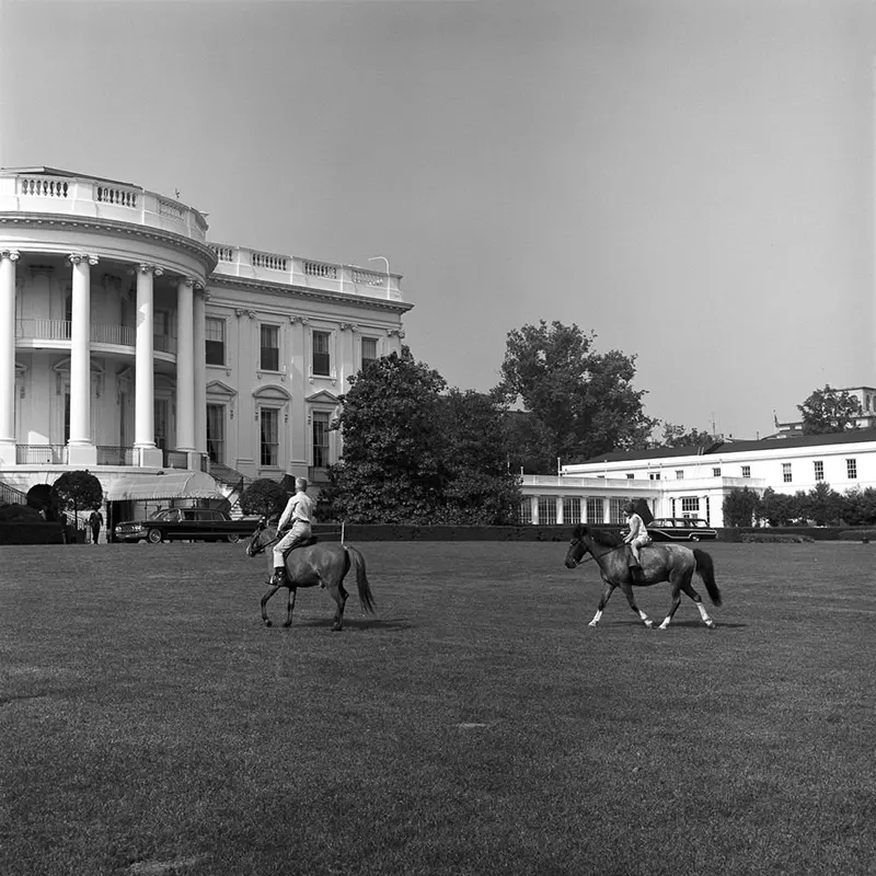 macaroni pony white house